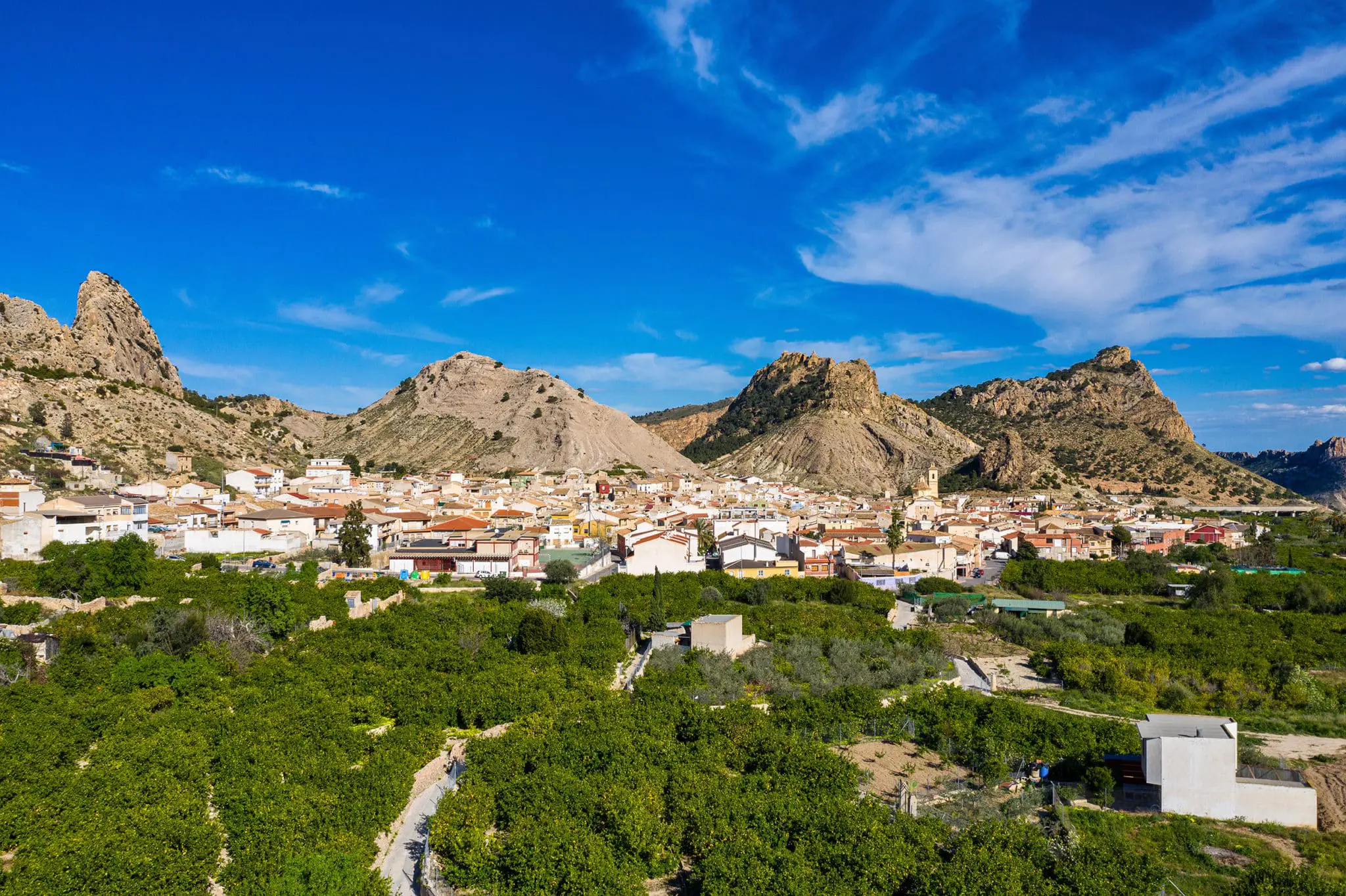 Huerta y paisaje agrícola del Valle de Ricote, legado de al-Ándalus
