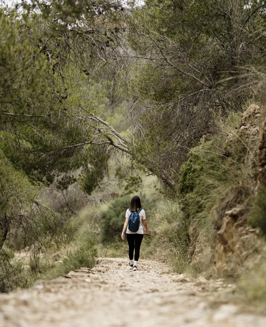 Experiencias y actividades en el Valle de Ricote