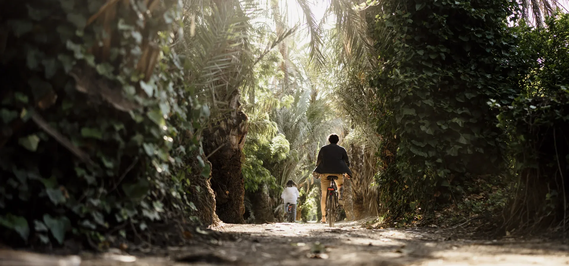 Paseo en bici por el Valle de Ricote