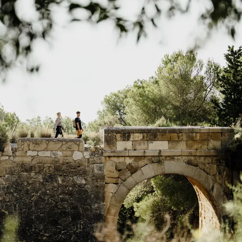 Visitantes disfrutando del Valle de Ricote